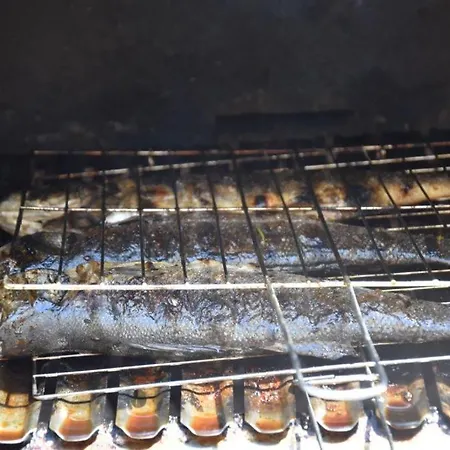 Apartment Meri Razanj